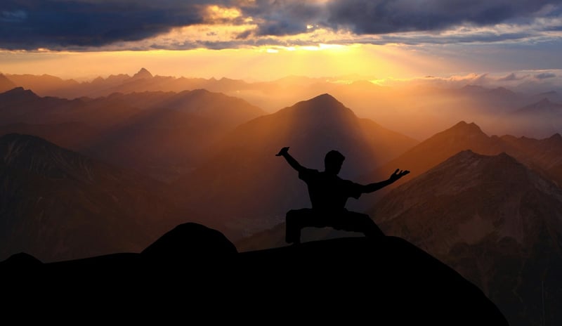 Chen Style Tai Chi Silhouette